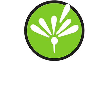 logo Bag Innov