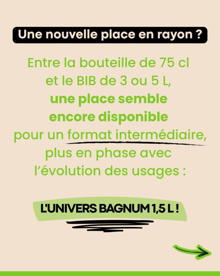 bouteille ou BIB