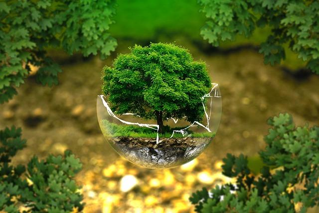 ecoconception